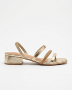 Ankle Strap Low heel